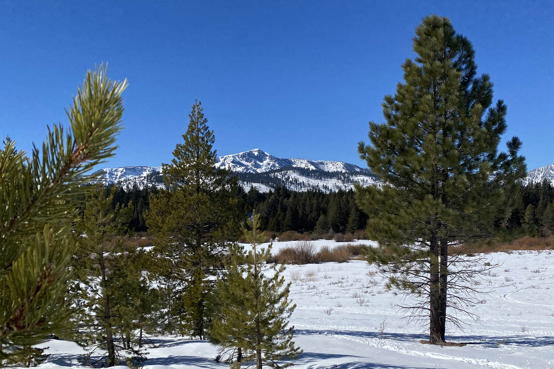 Mt. Tallac South Lake Tahoe, CA